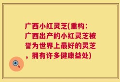 广西小红灵芝(重构：广西出产的小红灵芝被誉为世界上最好的灵芝，拥有许多健康益处)