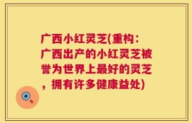 广西小红灵芝(重构：广西出产的小红灵芝被誉为世界上最好的灵芝，拥有许多健康益处)