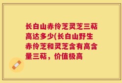 长白山赤伶芝灵芝三萜高达多少(长白山野生赤伶芝和灵芝含有高含量三萜，价值极高