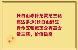 长白山赤伶芝灵芝三萜高达多少(长白山野生赤伶芝和灵芝含有高含量三萜，价值极高