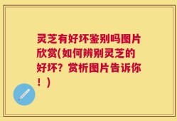 灵芝有好坏鉴别吗图片欣赏(如何辨别灵芝的好坏？赏析图片告诉你！)