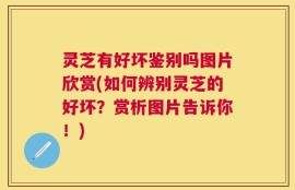 灵芝有好坏鉴别吗图片欣赏(如何辨别灵芝的好坏？赏析图片告诉你！)