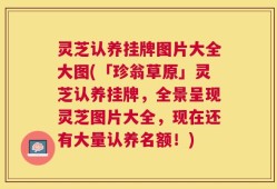 灵芝认养挂牌图片大全大图(「珍翁草原」灵芝认养挂牌，全景呈现灵芝图片大全，现在还有大量认养名额！)