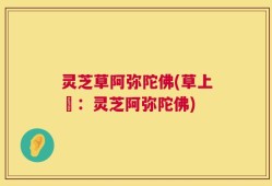 灵芝草阿弥陀佛(草上鮮：灵芝阿弥陀佛)
