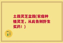 土栽灵芝盆栽(家庭种植灵芝，从此告别野生买药！)