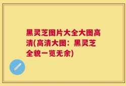 黑灵芝图片大全大图高清(高清大图：黑灵芝全貌一览无余)