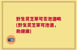 野生灵芝草可否泡酒喝(野生灵芝草可泡酒，助健康)