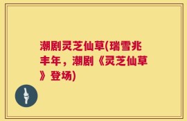 潮剧灵芝仙草(瑞雪兆丰年，潮剧《灵芝仙草》登场)