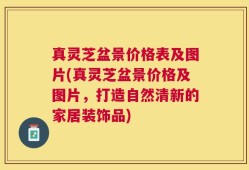 真灵芝盆景价格表及图片(真灵芝盆景价格及图片，打造自然清新的家居装饰品)
