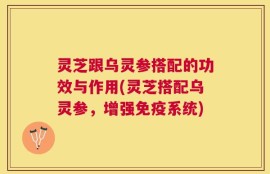 灵芝跟乌灵参搭配的功效与作用(灵芝搭配乌灵参，增强免疫系统)
