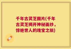 千年古灵芝图片(千年古灵芝揭开神秘面纱，惊艳世人的瑰宝之旅)
