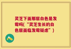 灵芝下面那层白色是发霉吗(“灵芝生长的白色层面临发霉疑虑”)