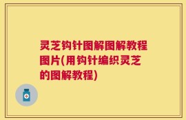 灵芝钩针图解图解教程图片(用钩针编织灵芝的图解教程)