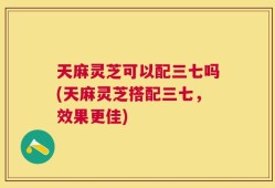 天麻灵芝可以配三七吗(天麻灵芝搭配三七，效果更佳)