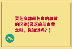 灵芝底部颜色白的和黄的区别(灵芝底部白黄之别，你知道吗？)