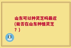 山东可以种灵芝吗最近(能否在山东种植灵芝？)