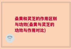 桑黄和灵芝的作用区别与功效(桑黄与灵芝的功效与作用对比)