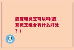 鹿茸和灵芝可以吗(鹿茸灵芝组合有什么好处？)