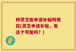 种灵芝能申请补贴吗现在(灵芝申请补贴，有这个可能吗？)