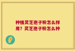 种植灵芝孢子粉怎么样用？灵芝孢子粉怎么种