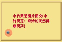 小竹灵芝图片图文(小竹灵芝：奇妙的天然健康灵药)
