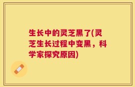 生长中的灵芝黑了(灵芝生长过程中变黑，科学家探究原因)
