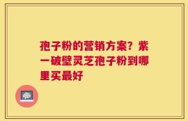 孢子粉的营销方案？紫一破壁灵芝孢子粉到哪里买最好