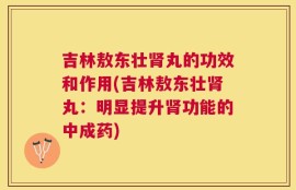 吉林敖东壮肾丸的功效和作用(吉林敖东壮肾丸：明显提升肾功能的中成药)
