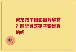 灵芝孢子摄影图片欣赏？鹊华灵芝孢子粉是真的吗