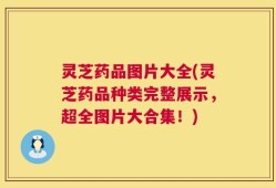 灵芝药品图片大全(灵芝药品种类完整展示，超全图片大合集！)