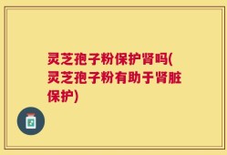 灵芝孢子粉保护肾吗(灵芝孢子粉有助于肾脏保护)