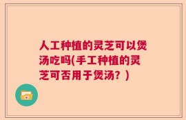 人工种植的灵芝可以煲汤吃吗(手工种植的灵芝可否用于煲汤？)