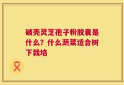 破壳灵芝孢子粉胶囊是什么？什么蔬菜适合树下栽培