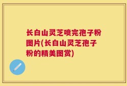 长白山灵芝喷完孢子粉图片(长白山灵芝孢子粉的精美图赏)