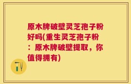 原木牌破壁灵芝孢子粉好吗(重生灵芝孢子粉：原木牌破壁提取，你值得拥有)