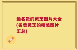 最名贵的灵芝图片大全(名贵灵芝的精美图片汇总)