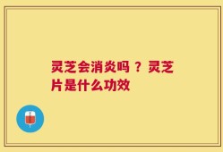 灵芝会消炎吗 ？灵芝片是什么功效