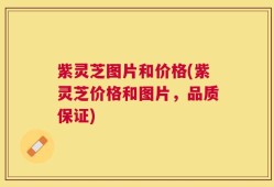 紫灵芝图片和价格(紫灵芝价格和图片，品质保证)