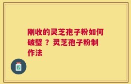 刚收的灵芝孢子粉如何破璧 ？灵芝孢子粉制作法