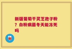 新疆葡萄干灵芝孢子粉？白粉病菌冬天能冻死吗