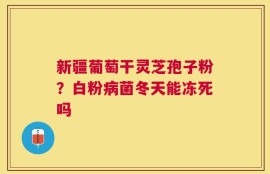 新疆葡萄干灵芝孢子粉？白粉病菌冬天能冻死吗