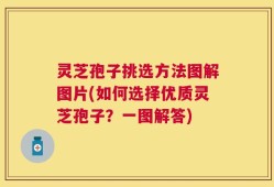 灵芝孢子挑选方法图解图片(如何选择优质灵芝孢子？一图解答)