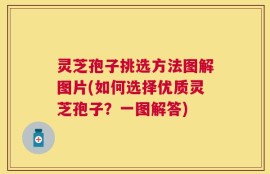 灵芝孢子挑选方法图解图片(如何选择优质灵芝孢子？一图解答)