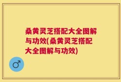 桑黄灵芝搭配大全图解与功效(桑黄灵芝搭配大全图解与功效)
