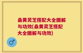 桑黄灵芝搭配大全图解与功效(桑黄灵芝搭配大全图解与功效)