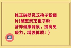 修正破壁灵芝孢子粉图片(破壁灵芝孢子粉：营养健康源泉，提高免疫力，增强体质！)