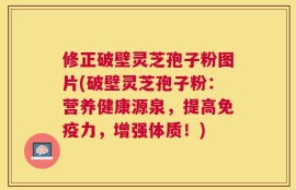 修正破壁灵芝孢子粉图片(破壁灵芝孢子粉：营养健康源泉，提高免疫力，增强体质！)