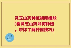 灵芝山药种植视频播放(看灵芝山药如何种植，带你了解种植技巧)
