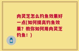 肉灵芝怎么钓鱼效果好一点(如何提高钓鱼效果？教你如何用肉灵芝钓鱼！)