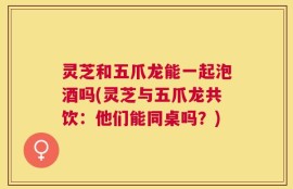 灵芝和五爪龙能一起泡酒吗(灵芝与五爪龙共饮：他们能同桌吗？)
